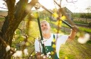 Gartenpflege von Abelein Dienstleistungen in Renchen 