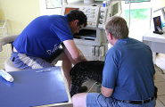 Ultraschalluntersuchung bei der Tierarztpraxis Dr. Dieffenbacher in Neustrelitz