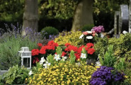 Sarg mit Blumen
