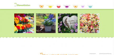 Ihr Fachgeschäft für Blumen - Blumenlädchen Seecker aus Kerpen   in Kerpen/Buir