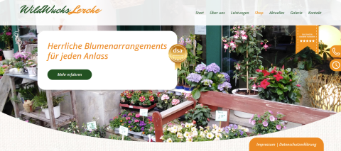 Schnittblumen Leipzig – Frische Blumenarrangements von Blumen WildWuchs in Leipzig