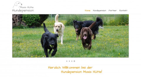 Hundepension Maxis Hütte in Kerken in Kerken