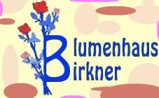 Die perfekte Adresse für Blumen: Blumenhaus Birkner in Nürnberg | Nürnberg