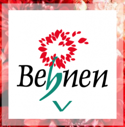 Blumenhaus Behnen-Strotmann in Rheine-Mesum bietet Floristik & Dekoration für jeden Anlass | Rheine