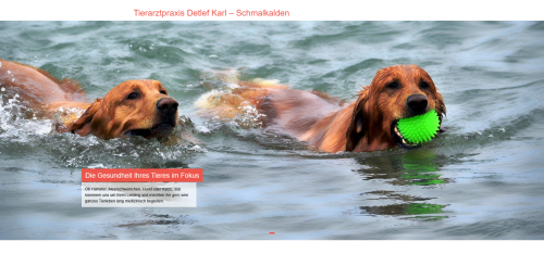 Firmenprofil von: Tierarztpraxis in Schmalkalden – Persönliche Tiermedizin mit Herz und Verstand 